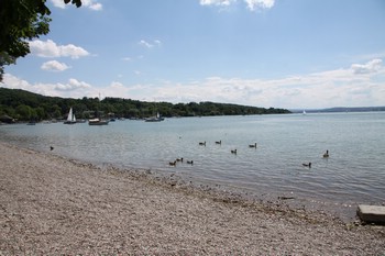 IMG_7738.JPG