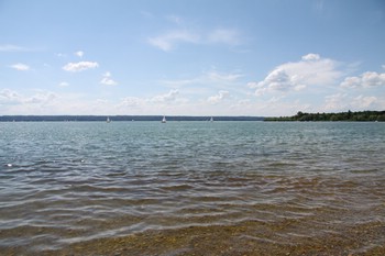 IMG_7753.JPG