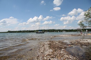 IMG_7755.JPG